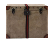 Storage Trunk Storage Trunk